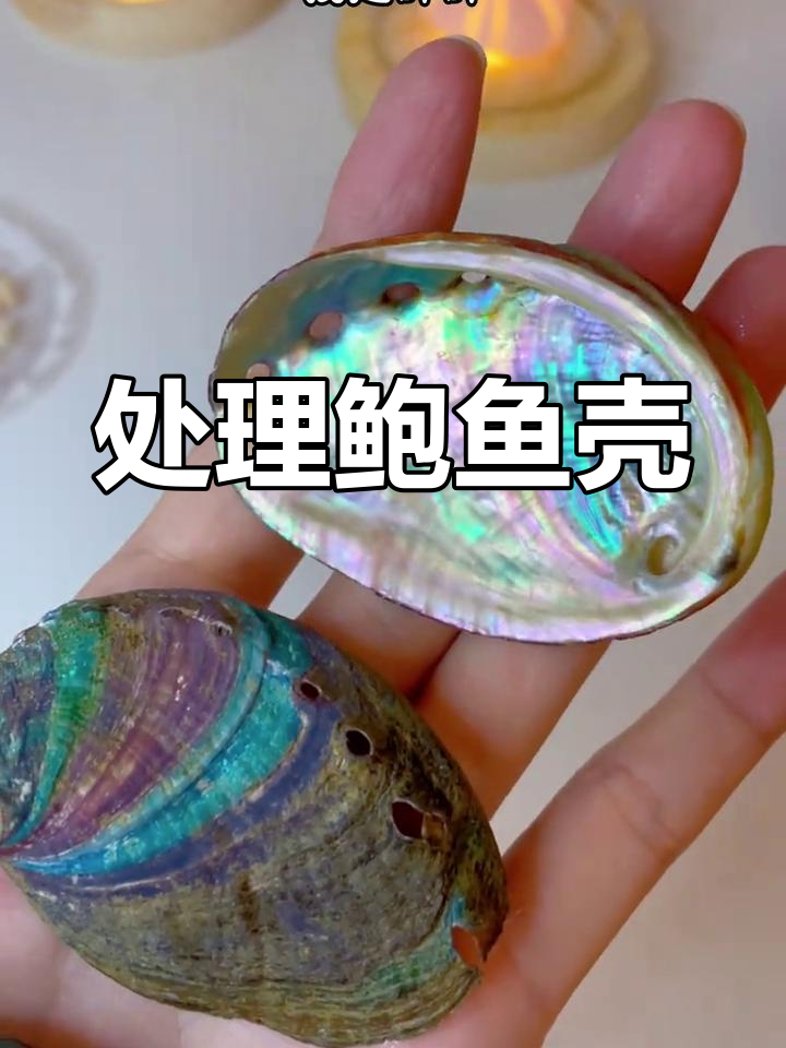 鲍鱼壳处理技巧,轻松保存大海馈赠