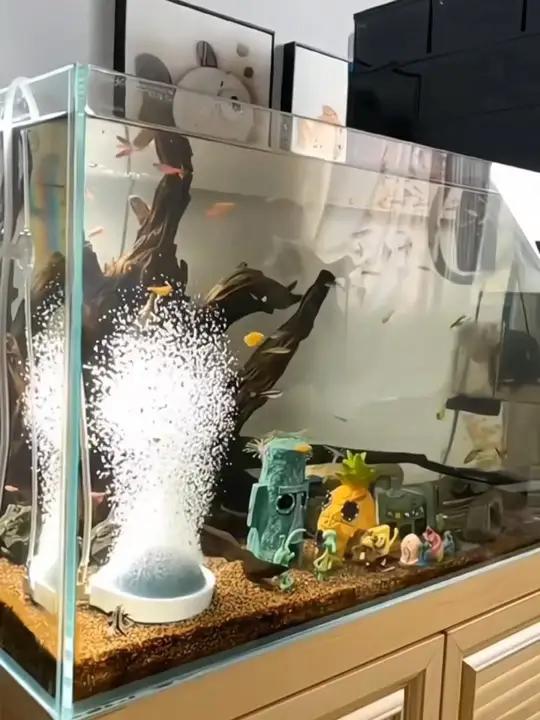 这个小型静音增氧泵挺不错,家里养鱼或者出门钓鱼带上都特别好用