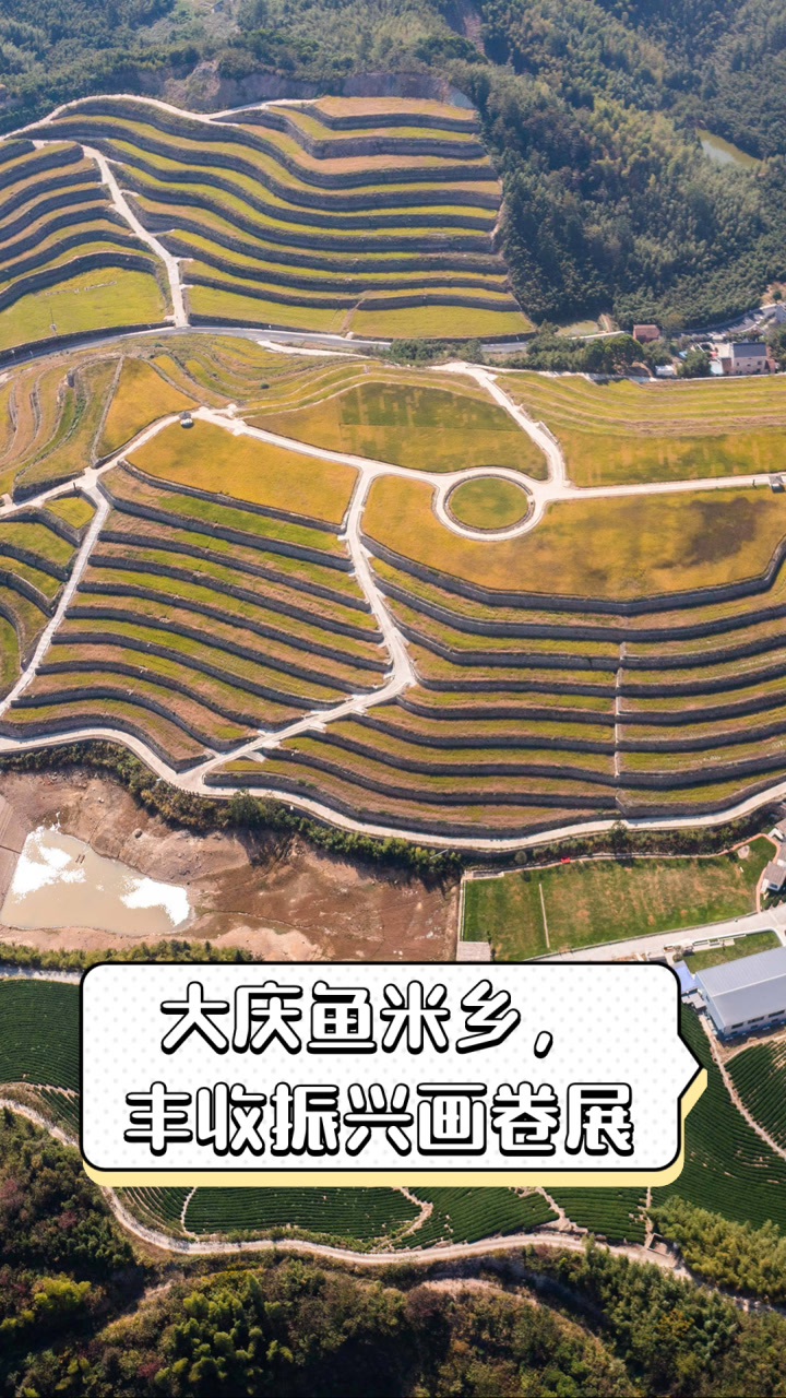 大庆鱼米乡，丰收振兴画卷展