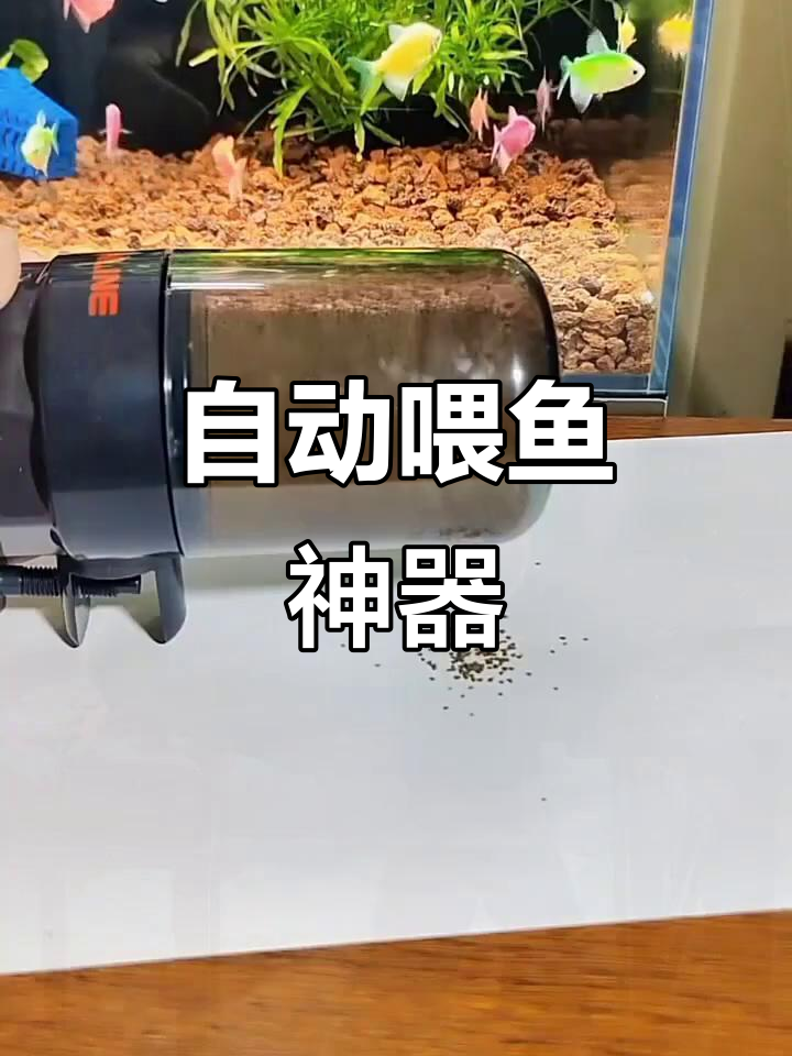 春节出门,鱼儿无忧!自动喂食器让你放心远行