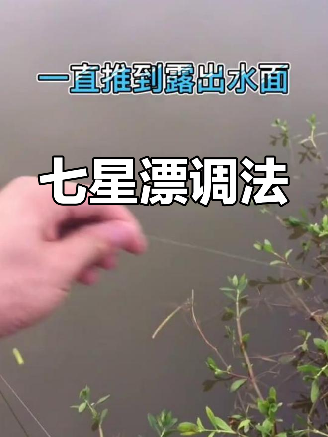 七星漂调钓技巧,专为鲫鱼设计