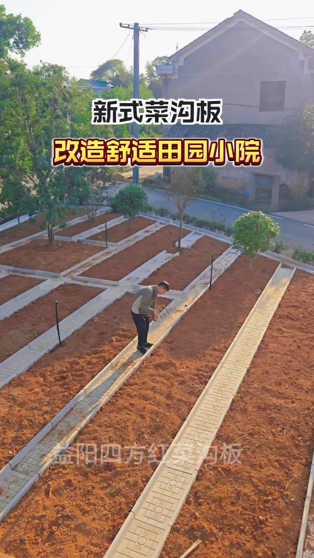 菜沟板 农村菜园设计 菜园 我的田园生活 在家种菜