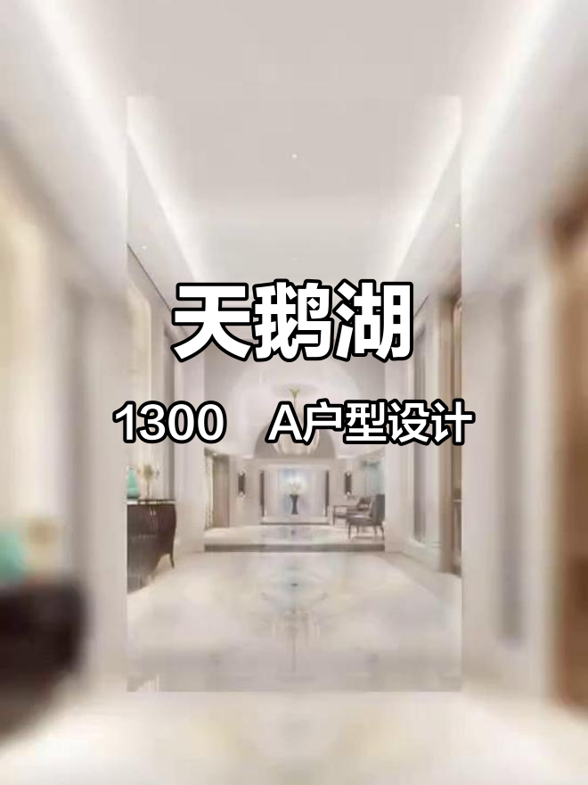 天鹅湖1300㎡A户型设计