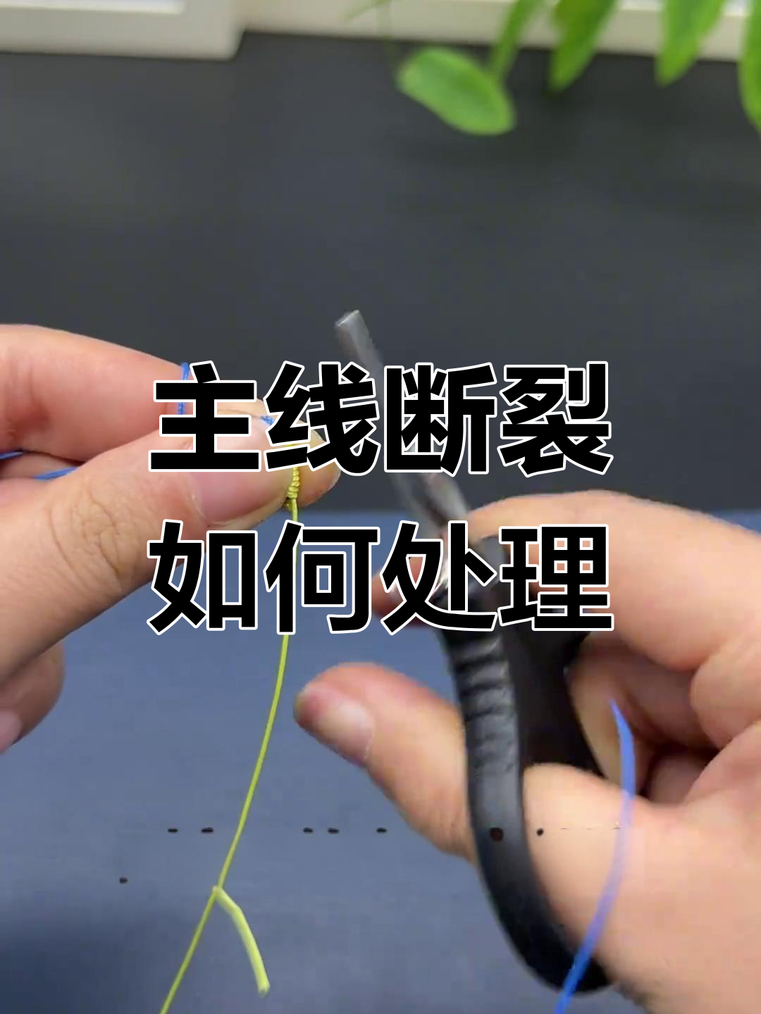 钓鱼主线断了怎么办?教你快速应急修复技巧