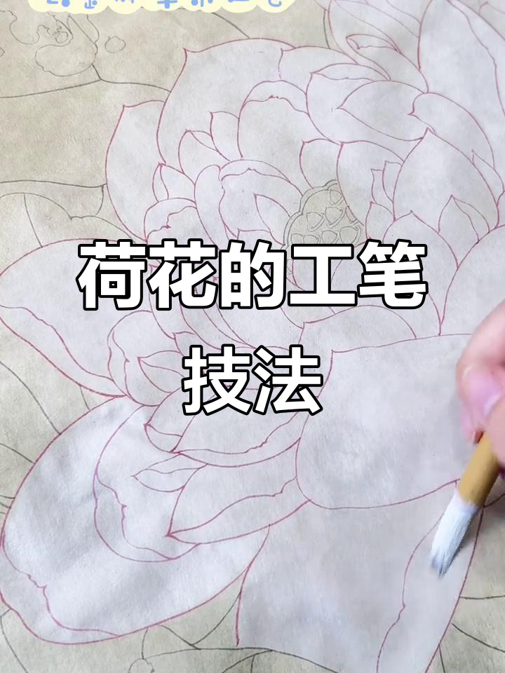 工笔画荷花技巧解析,轻松掌握