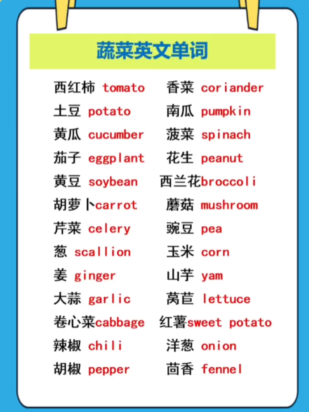 蔬菜英文单词