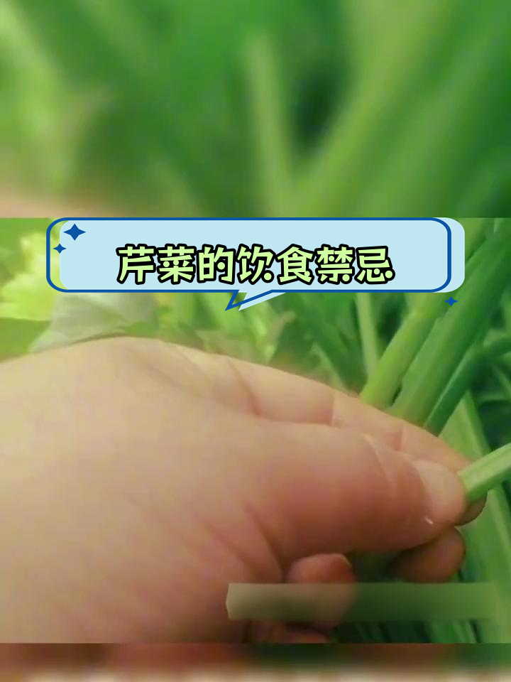 芹菜与这些食物相克,避免同时食用