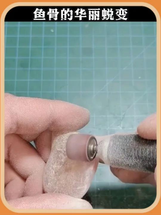 鱼骨的华丽蜕变!