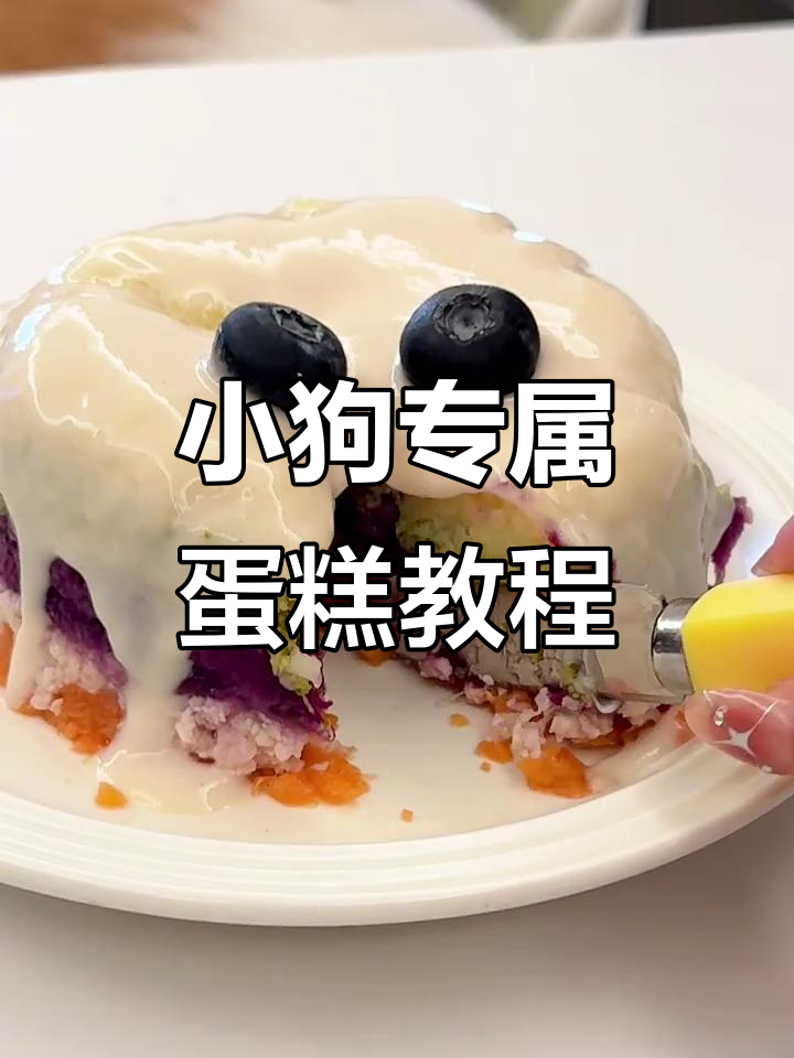 自制小狗生日蛋糕，简单又可爱！