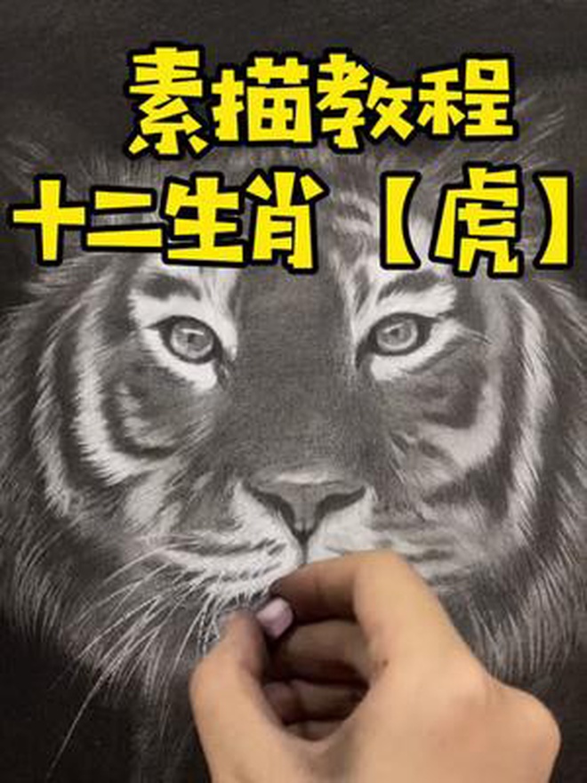 素描十二生肖之老虎