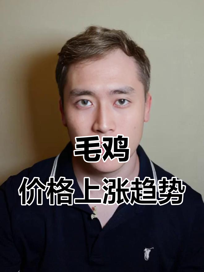 2021年毛鸡价格小幅上涨,元旦前有望攀升