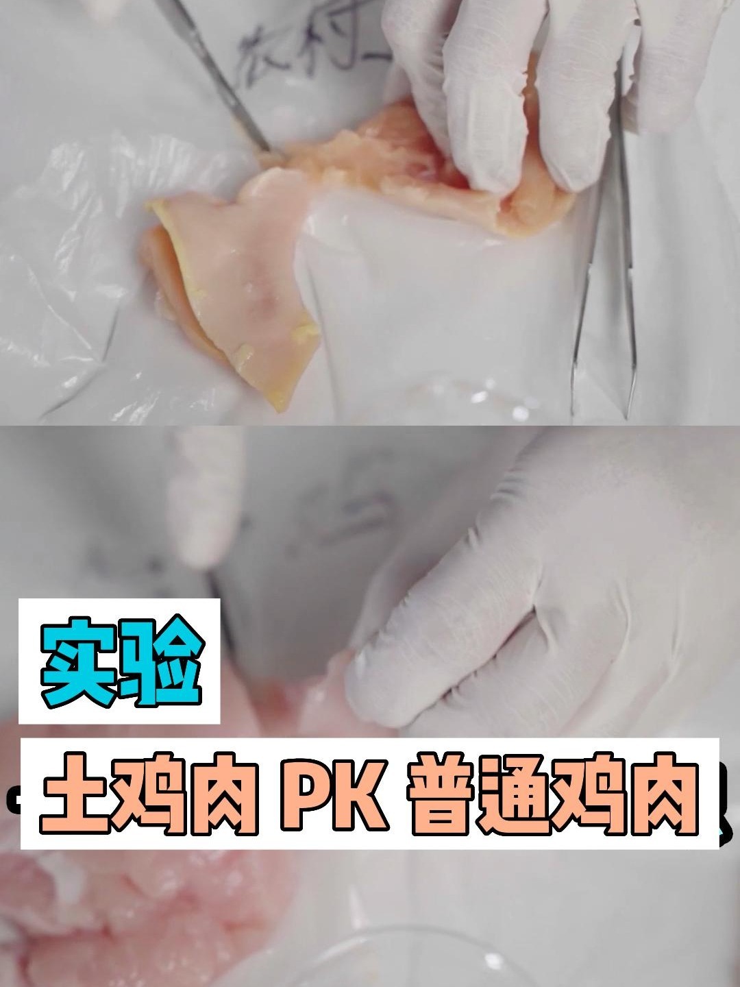 土鸡肉和普通鸡肉有何区别?