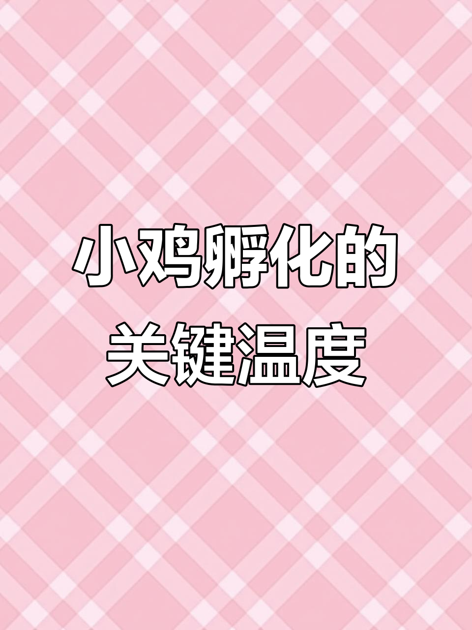 孵化温度低,小鸡延迟出壳!如何提高孵化成功率