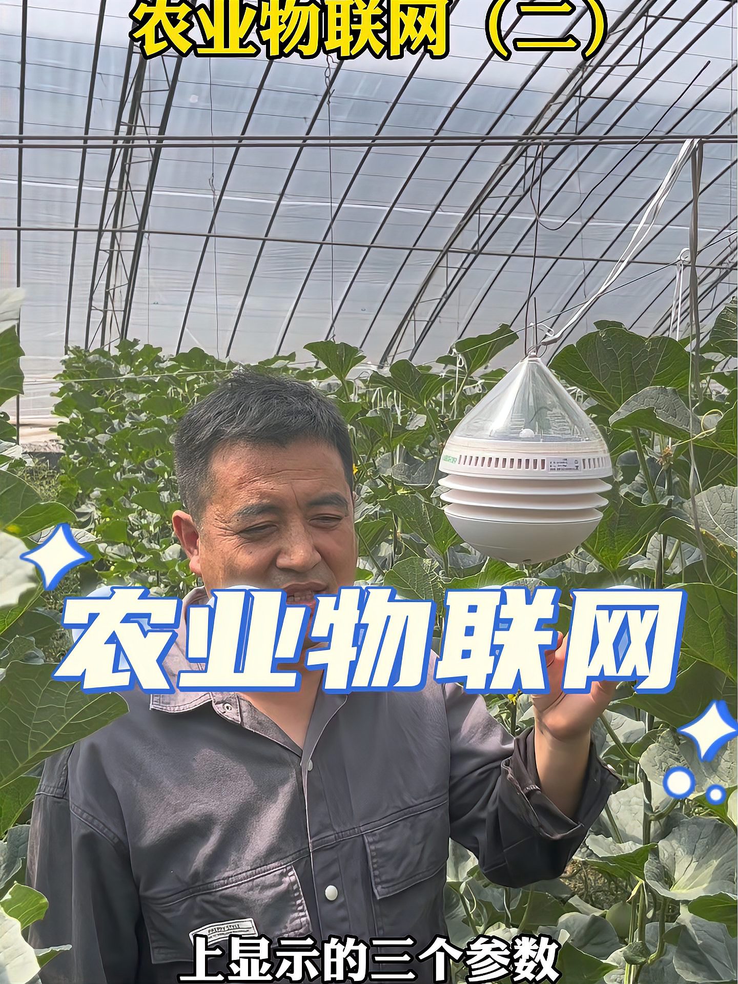 农业物联网，相关知识！蔬菜种植管理技术科普 寿光蔬菜 农业物联网 王友福 果蔬种植管理