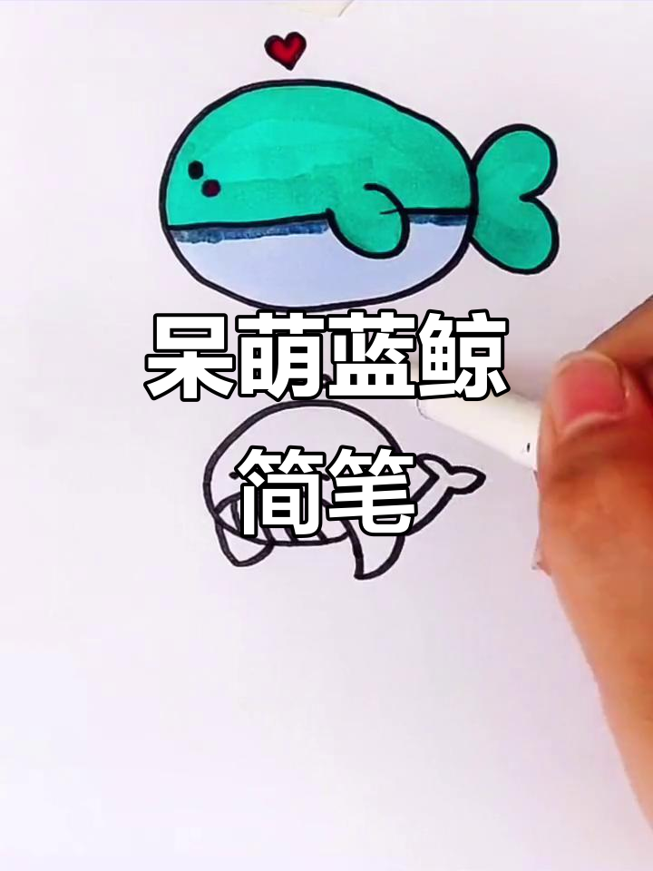 蓝鲸简笔画,可爱又呆萌!