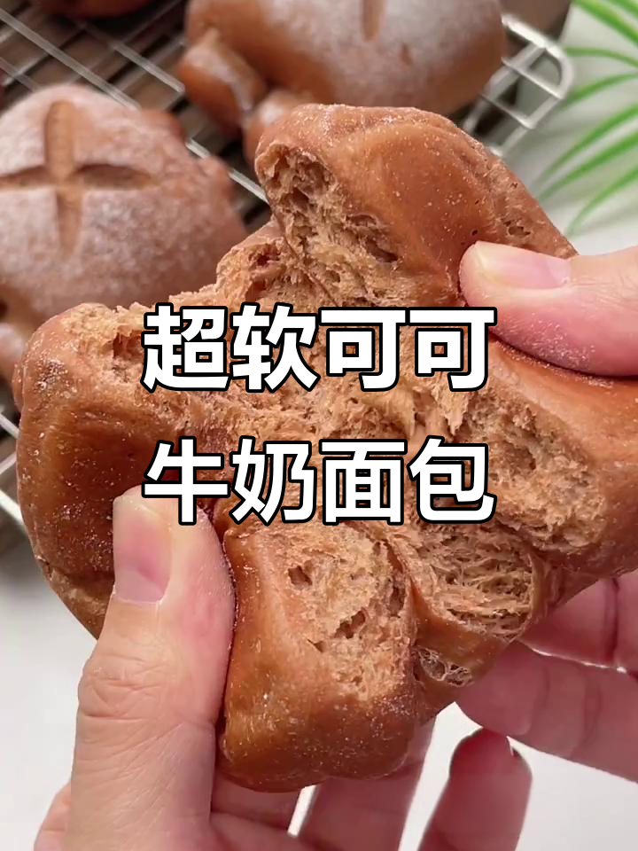 云朵般柔软的可可牛奶面包卷,超香浓巧克力味