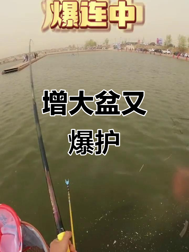 大盆钓鲤鱼,轻松爆护的秘诀是什么?