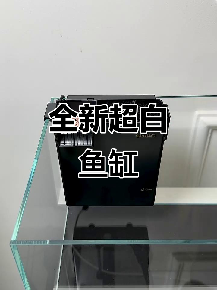 超白鱼缸全配置,养鱼更方便