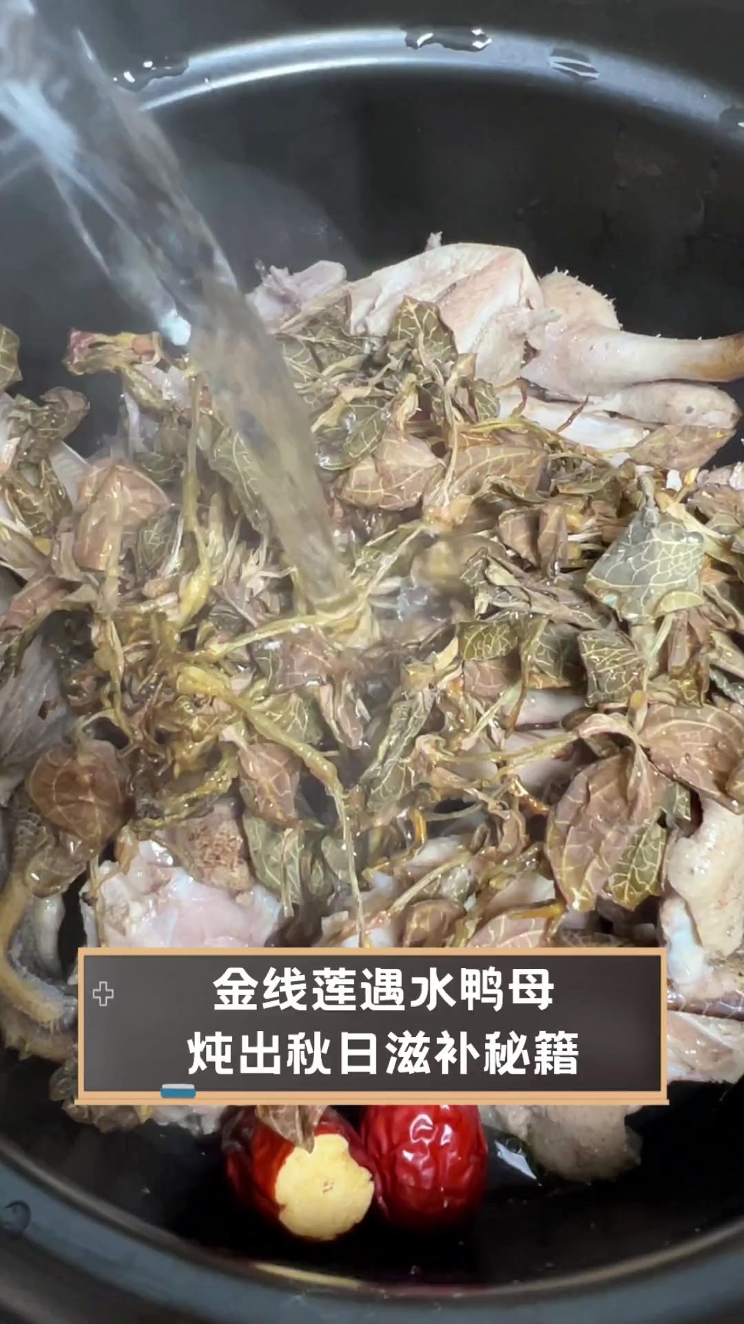 金线莲遇水鸭母,炖出秋日滋补秘籍
