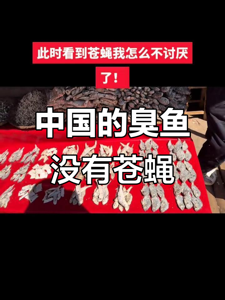 中国干鱼为何无苍蝇?原来是化学物质惹的祸!