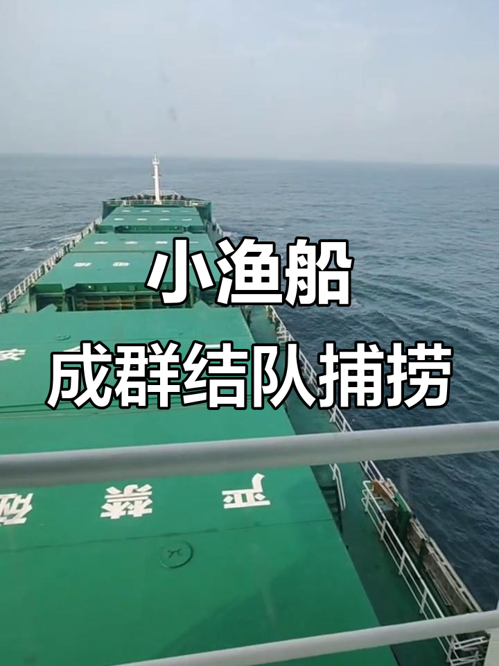 八月渔船出海捕鱼,安全第一!