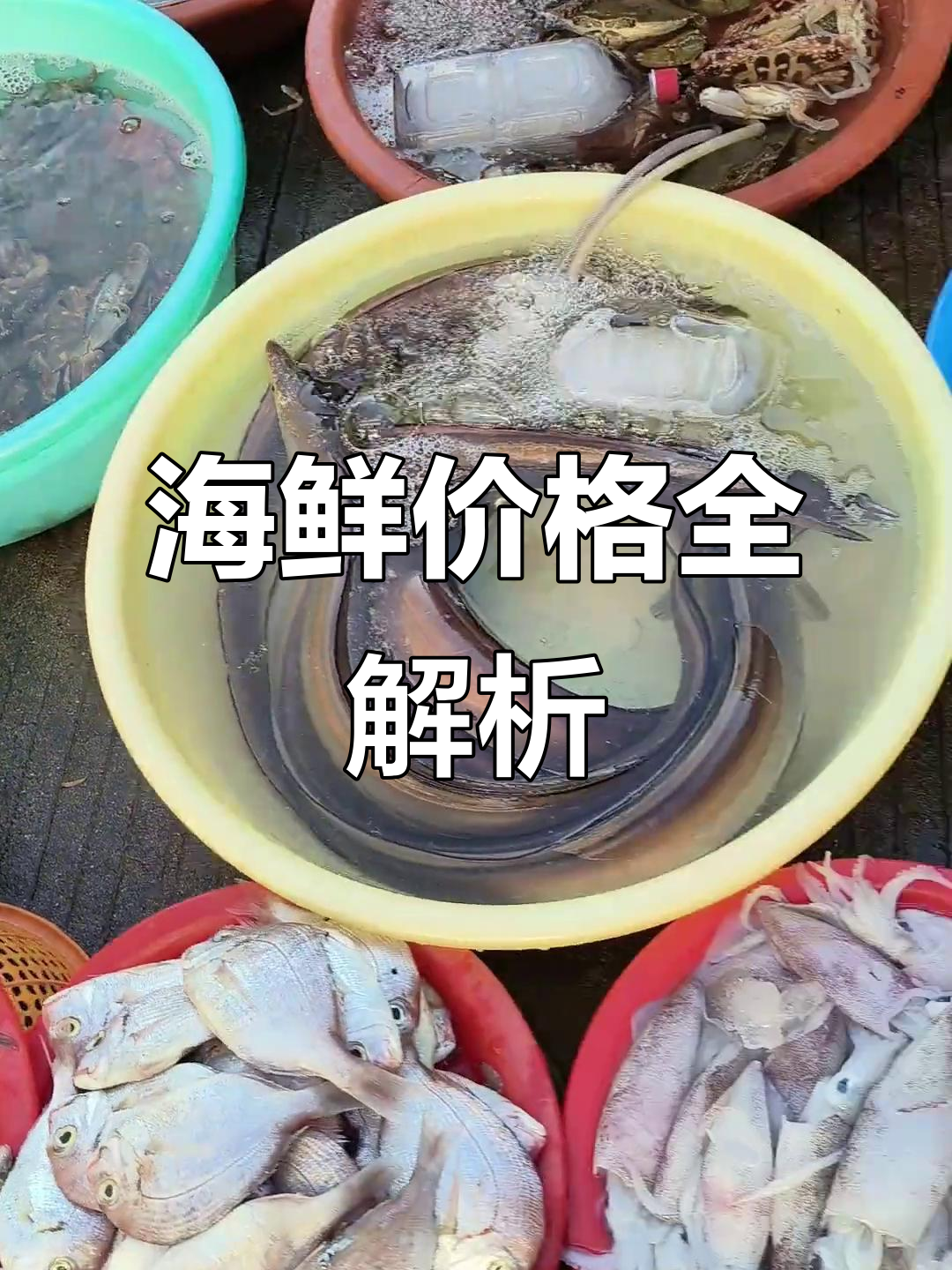 海鲜价格大揭秘:章鱼、海螺等各品种报价一网打尽!