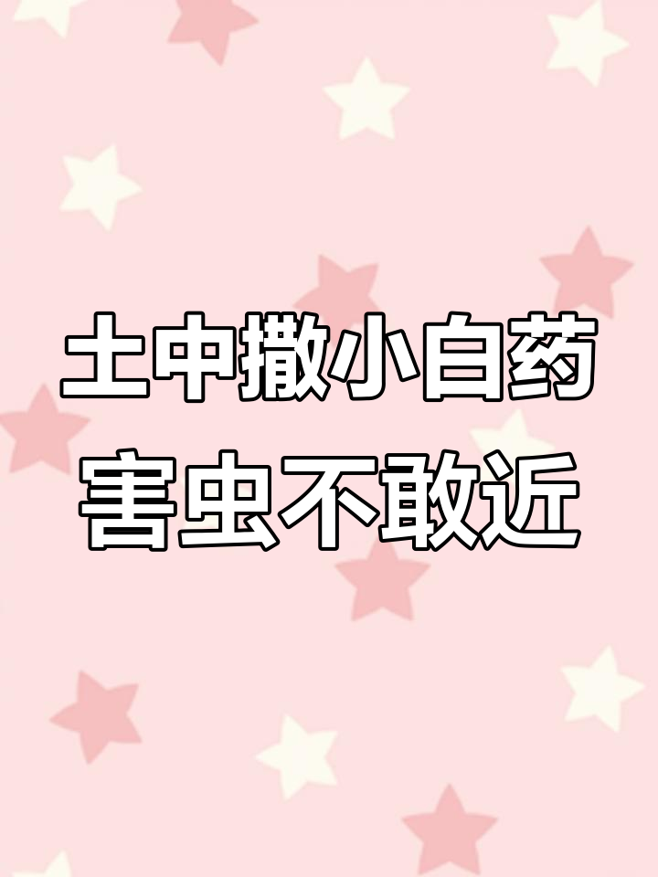 小白药轻松灭虫,土里的小虫子全不怕