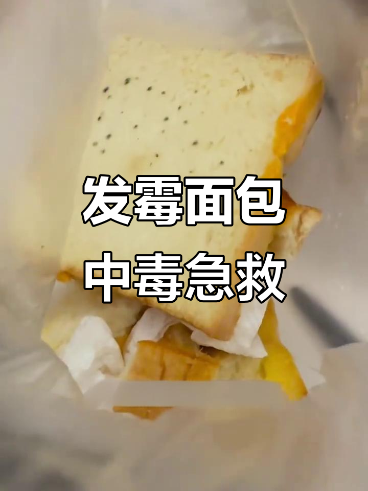 吃发霉面包后怎么办?姜黄粉和茶能解毒