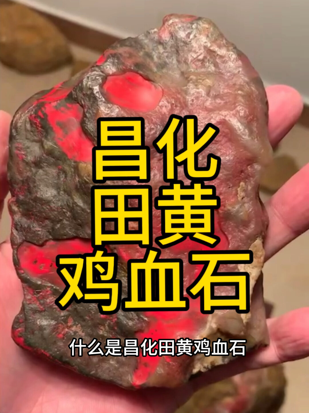 昌化田黄鸡血石