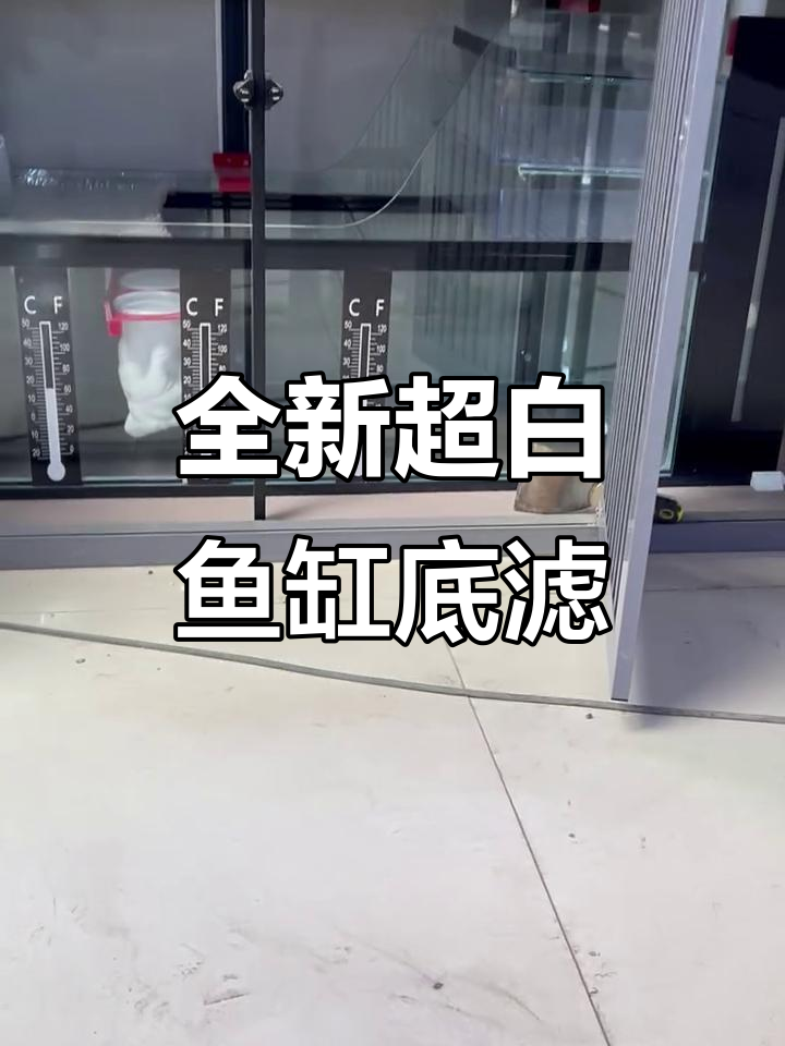 超白鱼缸底滤系统大揭秘，双层干湿分离设计让水质更清新