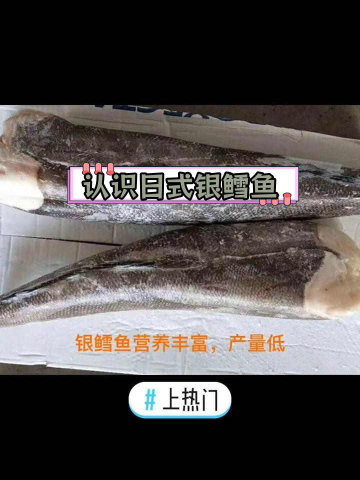 日料中的银鳕鱼揭秘:如何区分真假?