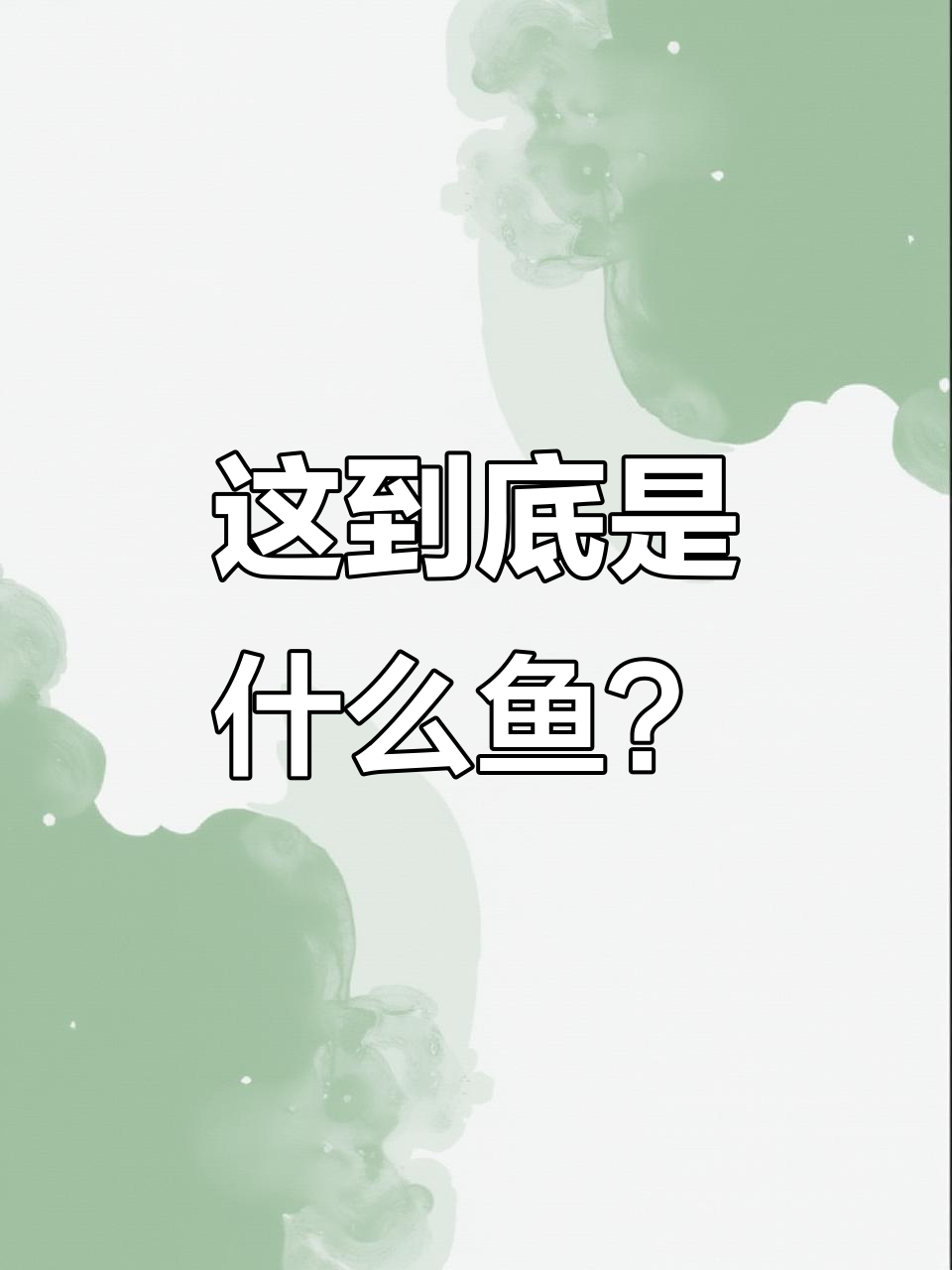 捕鱼半辈子,竟没见过这种像蝙蝠的稀有鱼!