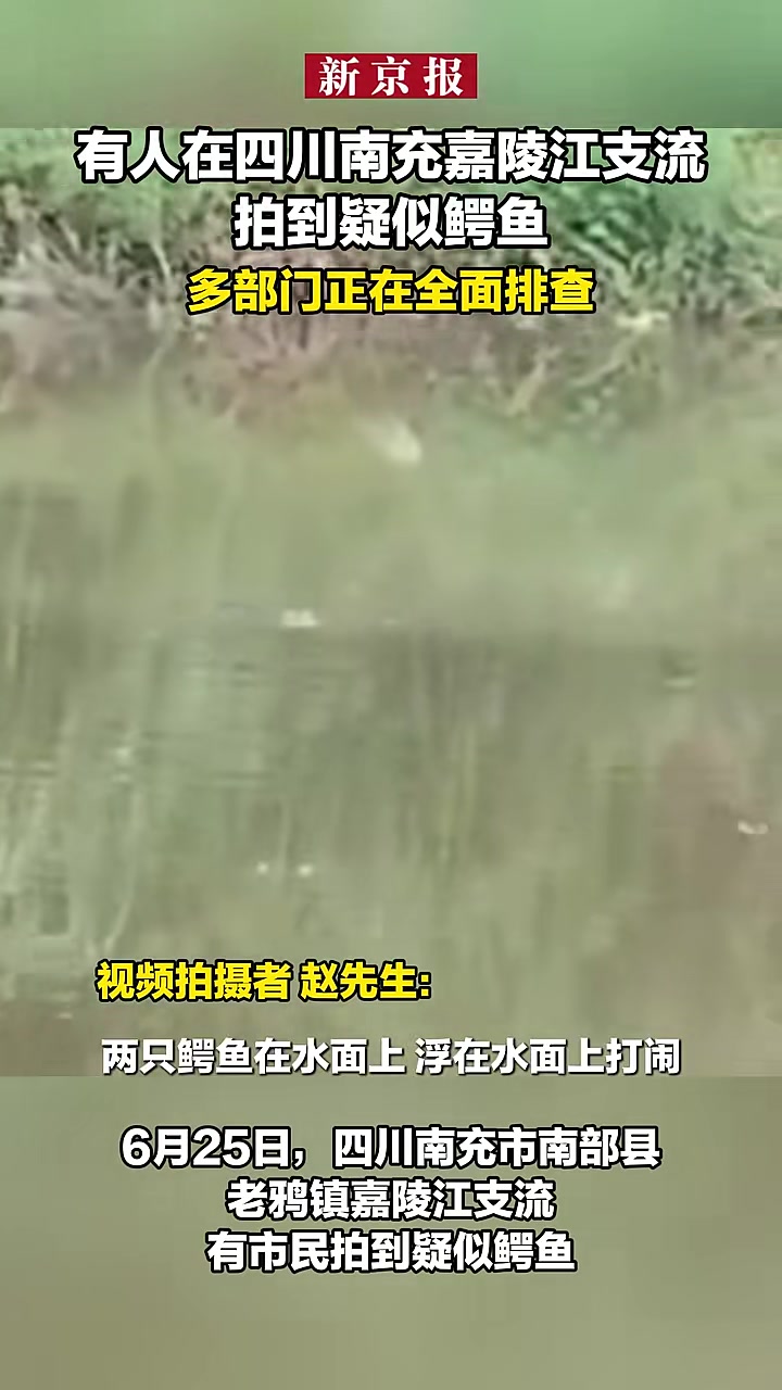 四川南充嘉陵江支流现疑似鳄鱼多部门排查