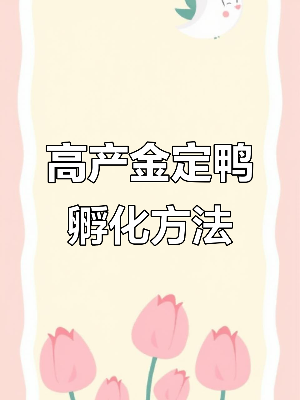 金定鸭养殖技巧：高产秘诀与冬季管理