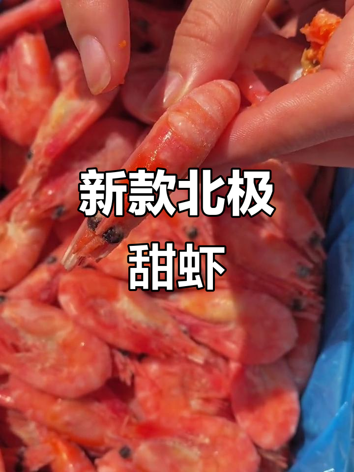 北极甜虾新货,头籽饱满鲜美无比!三种规格任你选