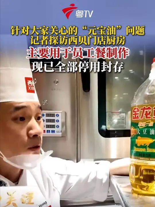 针对大家非常关心的西贝“元宝油”问题,《今日关注》记者13日晚探访西贝广州一分店,该店的厨
