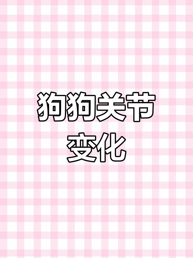 你家狗狗关节也这样吗?小时候是疙瘩,长大变黑了