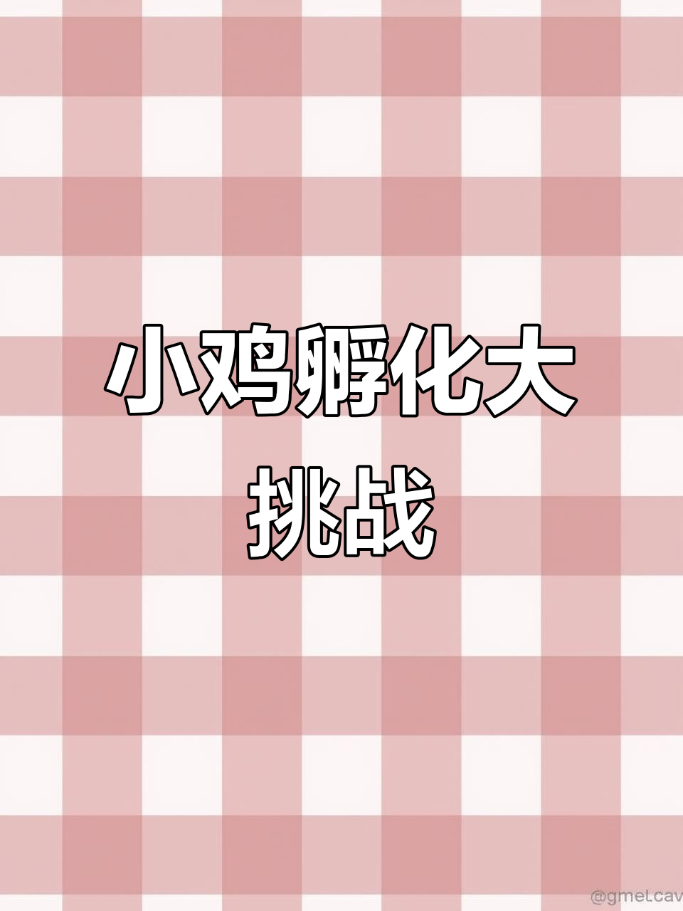 孵了13个蛋,结果全出来了!现在头疼怎么养这么多小鸡