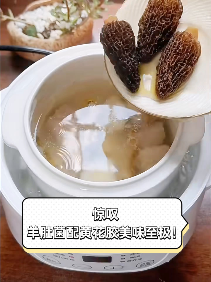 惊叹,羊肚菌配黄花胶美味至极!