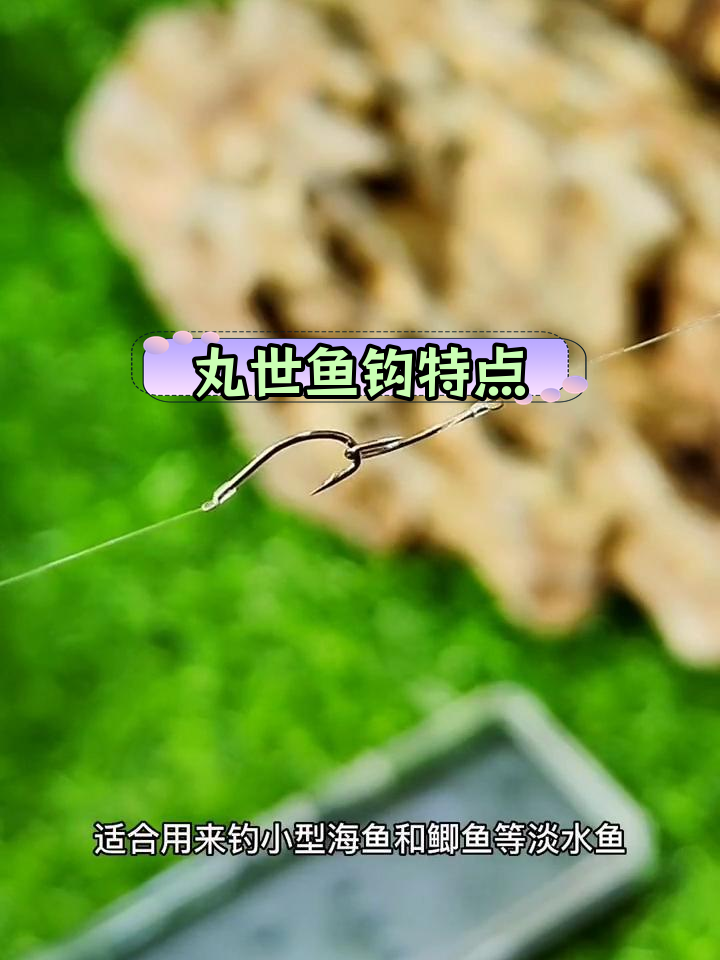 丸世鱼钩适用场景与优缺点分析