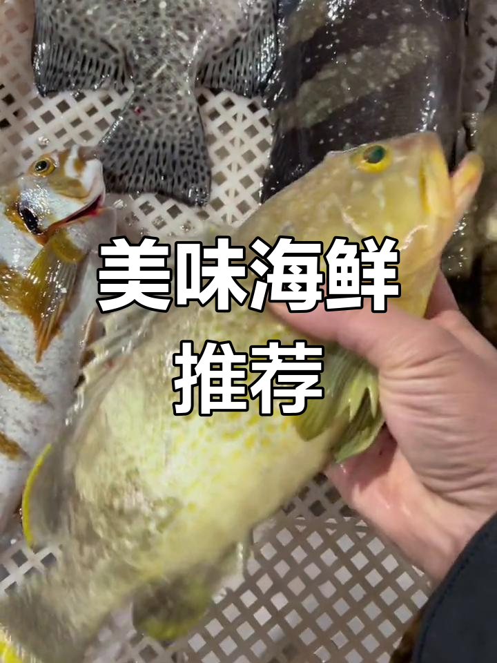这些海鲜海鱼,味道绝佳!你尝过吗?