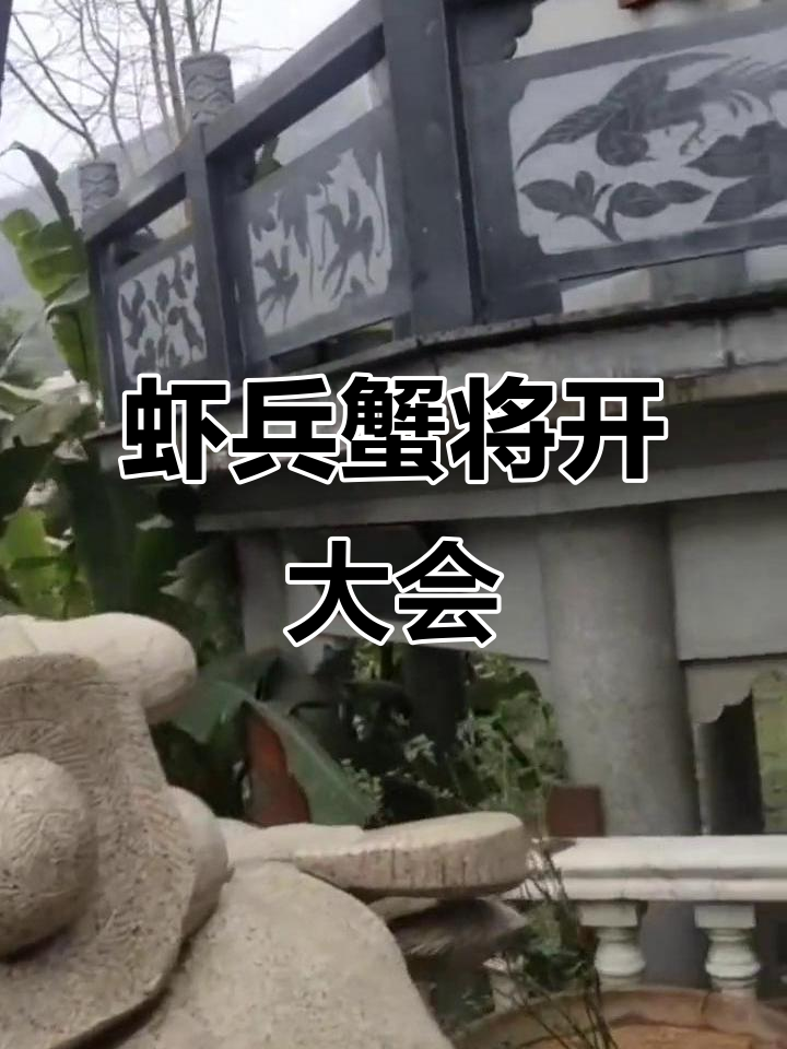 虾兵蟹将大集合,开会讨论什么?