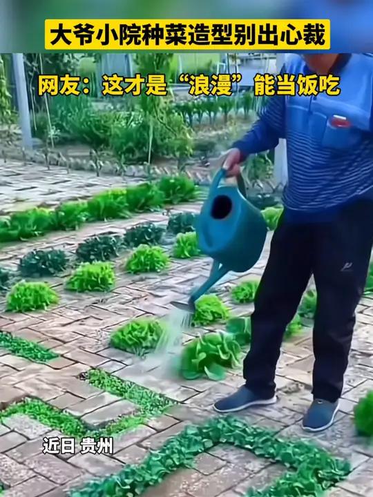 大爷小院种菜造型别出心裁~网友:这才是“浪漫”能当饭吃 田园生活乐趣多 小菜园 劳动人民的