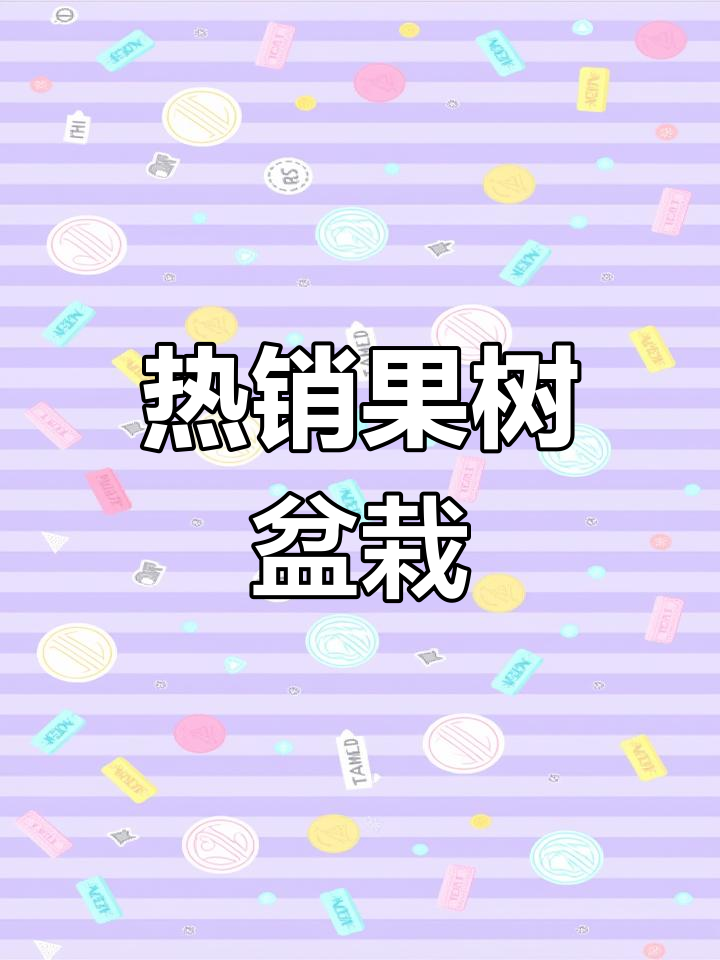 黑龙江省方正林业局热销盆栽果树,适合室内外种植