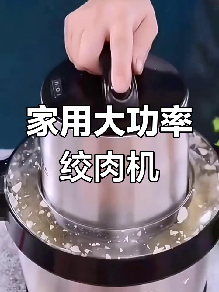德国汉佳欧斯电动绞肉机 大容量家用料理机 自动搅馅多功能