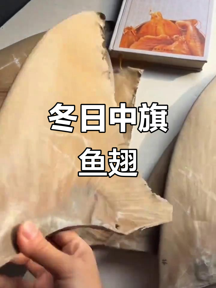 中旗鱼翅,冬季美味,去头干净,口感绝佳!