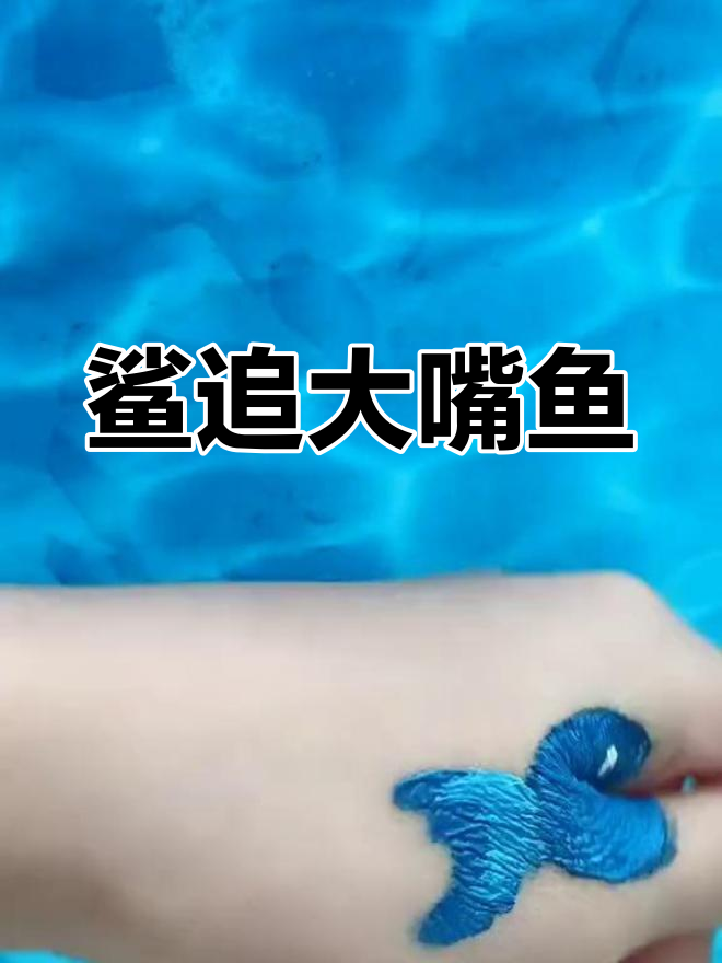 大嘴鱼与鲨鱼的追逐大作战,谁才是猎物?