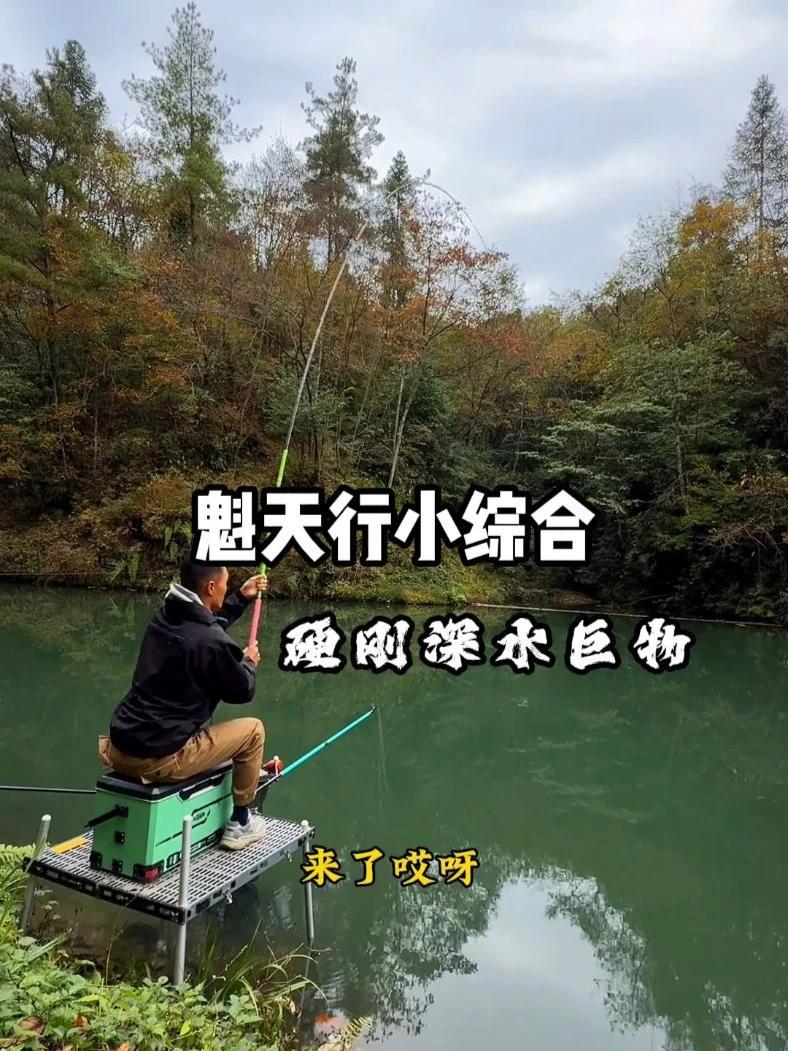 魁天行轻量小综合1700-2000G钓力值,7.2米成品168g,加入大量M46X碳布,杆