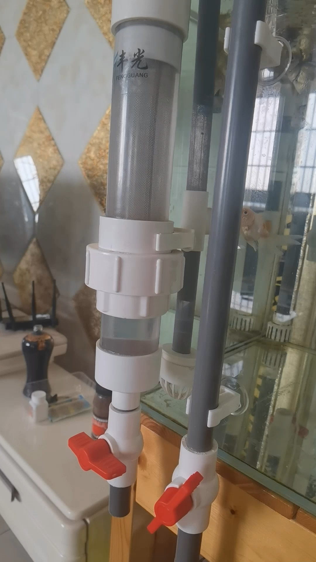 鱼缸分离便便的神器