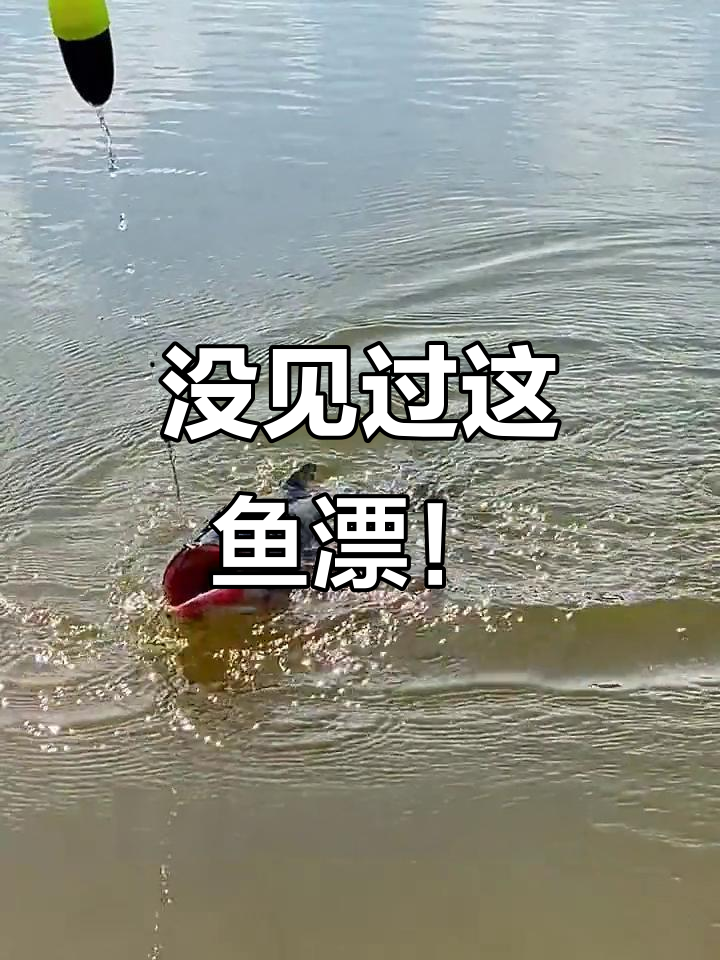你见过这种自动锁紧鱼漂吗?震波漂让你钓鱼更轻松
